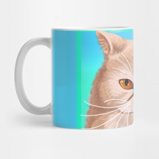 Persian kitty face Mug